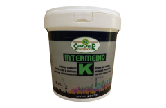 Intermedio K